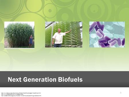 Next Generation Biofuels