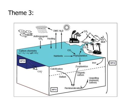 Theme 3:. WP10 Future changes in ocean carbonate chemistry Objectives: Determine future changes in carbonate chemistry (pH, CaCO 3 saturation states,