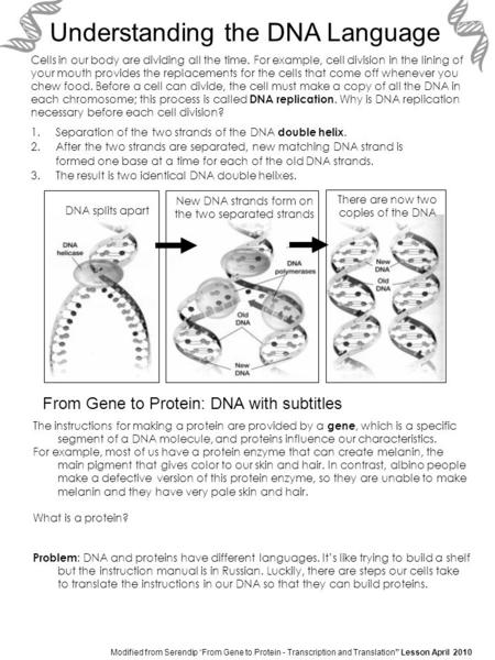 Cells in our body are dividing all the time. For example, cell division in the lining of your mouth provides the replacements for the cells that come off.