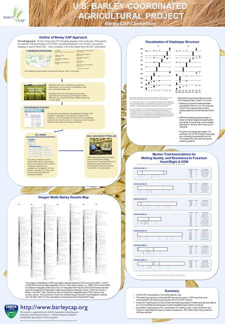 Outline of Barley CAP Approach Breeding lines from 10 breeding programs are phenotyped (over 40 traits) in collaborative trials and individual breeder.