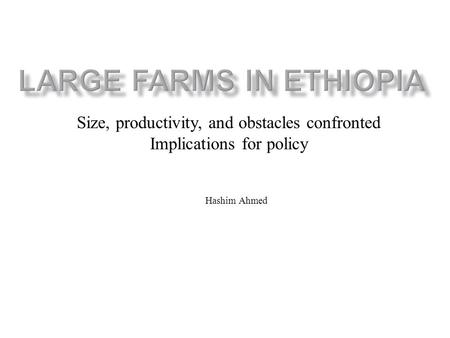 Size, productivity, and obstacles confronted Implications for policy Hashim Ahmed.