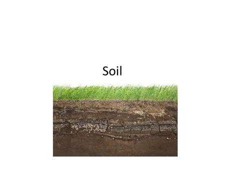 Soil.