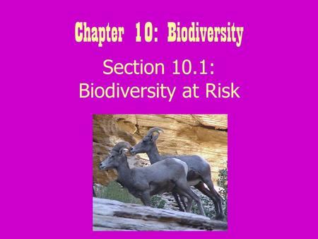 Chapter 10: Biodiversity