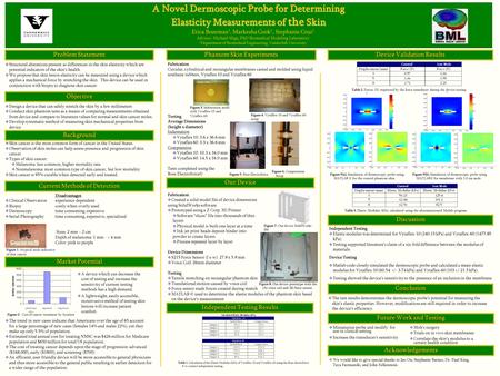 A Novel Dermoscopic Probe for Determining Elasticity Measurements of the Skin Erica Bozeman 1, Markesha Cook 1, Stephanie Cruz 1 Advisor: Michael Miga,