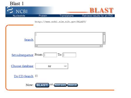 Blast 1. Blast 2 Low Complexity masking >GDB1_WHEAT MKTFLVFALIAVVATSAIAQMETSCISGLERPWQQQPLPPQQSFSQQPPFSQQQQQPLPQ QPSFSQQQPPFSQQQPILSQQPPFSQQQQPVLPQQSPFSQQQQLVLPPQQQQQQLVQQQI.