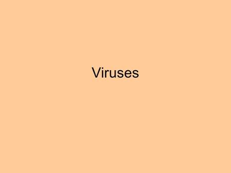 Viruses. Tobacco mosaic virus stunts the growth of tobacco plants and gives their leaves a mottled, mosaic coloration. Studied as early as 1883 by Adolf.