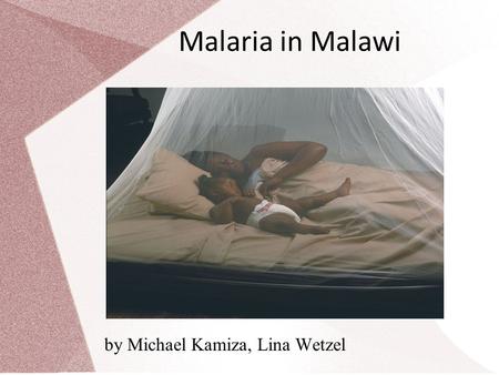 Malaria in Malawi by Michael Kamiza, Lina Wetzel.