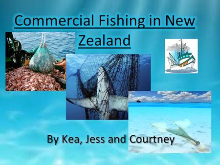 By Kea, Jess and Courtney. Different methods What is Bottom Trawling?  Run along the sea floor to capture large amounts of.