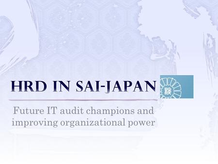 Future IT audit champions and improving organizational power.