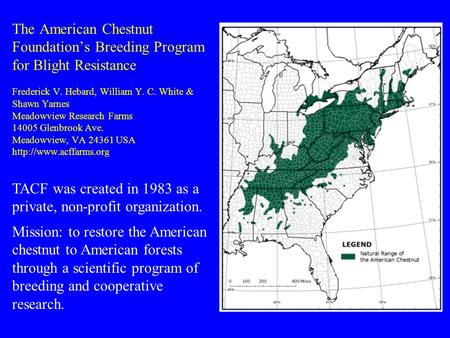 The American Chestnut Foundation’s Breeding Program for Blight Resistance Frederick V. Hebard, William Y. C. White & Shawn Yarnes Meadowview Research Farms.