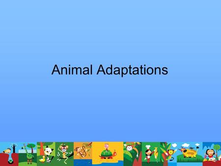 Animal Adaptations.