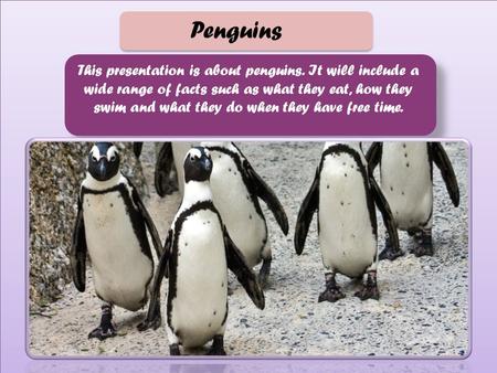 Penguins This presentation is about penguins. It will include a wide range of facts such as what they eat, how they swim and what they do when they have.