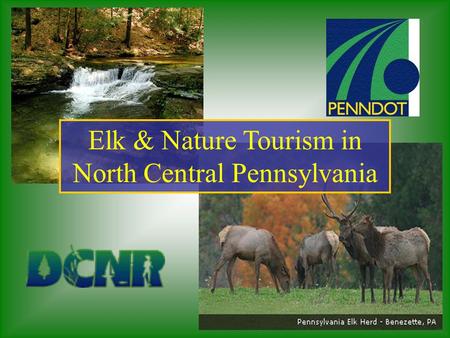 Elk & Nature Tourism in North Central Pennsylvania.