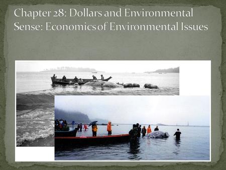 In the mid-1990’s US spent ~$115 billion/ year to deal w/ pollution. About 2% of GNP Many more cost of pollution are hidden The EPA has a budget of $6.