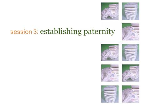 Session 3: establishing paternity. Texas law recognizes 4 types of fathers… Biological A man whose sperm caused the baby to be conceived Alleged A man.