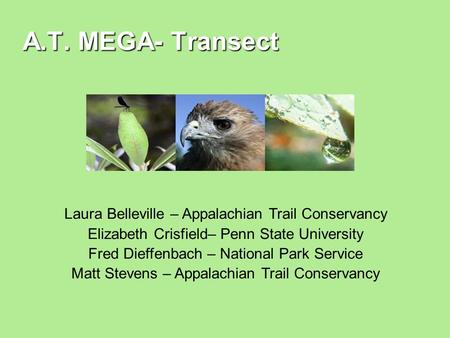 A.T. MEGA- Transect Laura Belleville – Appalachian Trail Conservancy Elizabeth Crisfield– Penn State University Fred Dieffenbach – National Park Service.