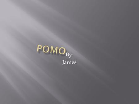 By: James. Table of Contents What are there houses made of what was there culture like how did they live what did they celebrate and how What did they.