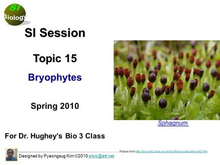 Designed by Pyeongsug Kim ©2010 SI Session Topic 15 Bryophytes Spring 2010 For Dr. Hughey’s Bio 3 Class Picture from