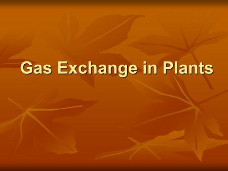 Gas Exchange in Plants. Reactions that involve gasses Photosynthesis Photosynthesis Occurs in the chloroplast Occurs in the chloroplast Energy produced.