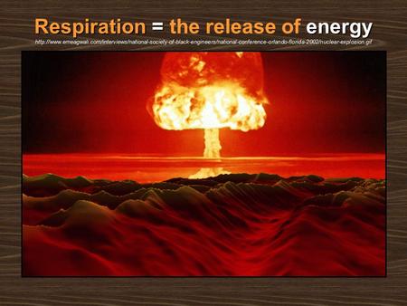 Respiration=energy Respiration = the release of energy