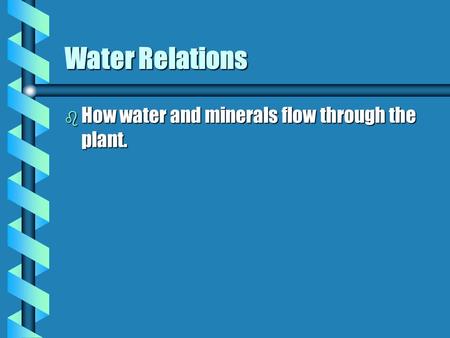 Water Relations b How water and minerals flow through the plant.