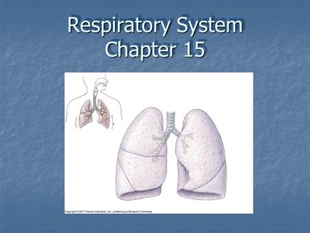 Respiratory System Chapter 15