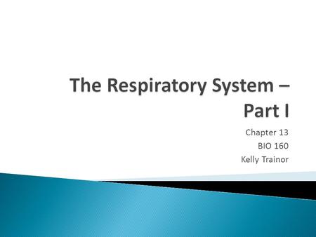 Chapter 13 BIO 160 Kelly Trainor.  Name the organs of the respiratory system and describe their function.