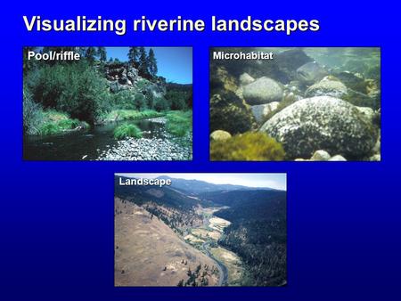 Visualizing riverine landscapes Pool/riffle Landscape Microhabitat.