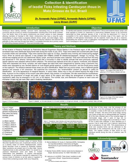 Collection & Identification of Ixodid Ticks Infesting Cerdocyon thous in Mato Grosso do Sul, Brazil Dr. Fernando Paiva (UFMS), Fernanda Rabelo (UFMS),