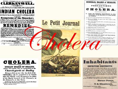 Cholera. Classification of Cholera Cholera is an acute infection of the intestine caused by the bacteria Vibrio cholerae. Scientific Name: Vibrio cholerae.