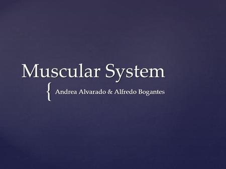 { Muscular System Andrea Alvarado & Alfredo Bogantes.