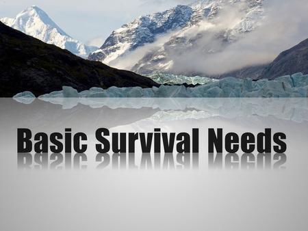 Basic Survival Needs Picture with reflected caption (Basic)