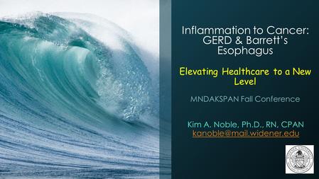 Inflammation to Cancer: GERD & Barrett’s Esophagus Elevating Healthcare to a New Level MNDAKSPAN Fall Conference Kim A. Noble, Ph.D., RN, CPAN