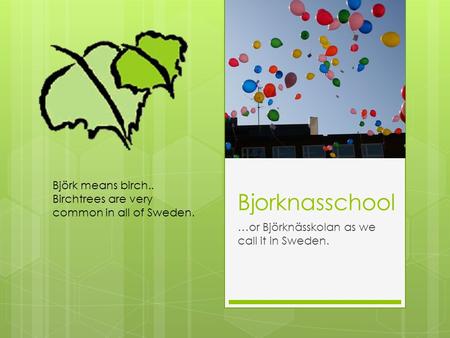 Bjorknasschool …or Björknässkolan as we call it in Sweden. Björk means birch.. Birchtrees are very common in all of Sweden.