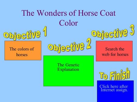 The Wonders of Horse Coat Color The Genetic Explanation Link to horse classifieds The colors O The colors of horses Search the web for horses Click here.