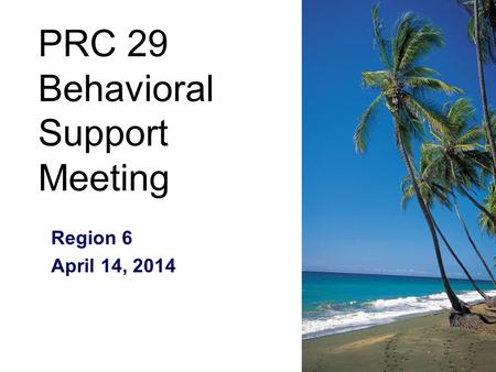 PRC 29 Behavioral Support Meeting Region 6 April 14, 2014.