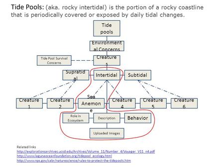 Related links