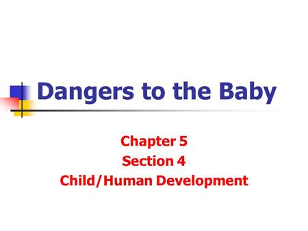 Dangers to the Baby Chapter 5 Section 4 Child/Human Development.