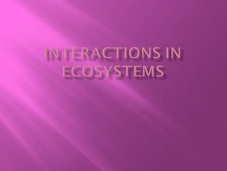 Interactions in ecosystems