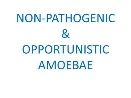 NON-PATHOGENIC & OPPORTUNISTIC AMOEBAE. NON-PATHOGENIC AMOEBAE Entamoeba dispar Entamoeba hartmanni Entamoeba coli Entamoeba gingivalis Endolimax nana.