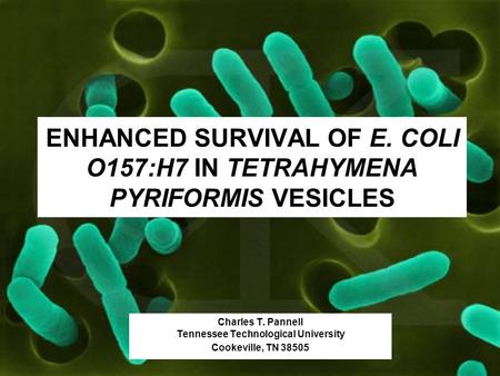 ENHANCED SURVIVAL OF E. COLI O157:H7 IN TETRAHYMENA PYRIFORMIS VESICLES Charles T. Pannell Tennessee Technological University Cookeville, TN 38505.