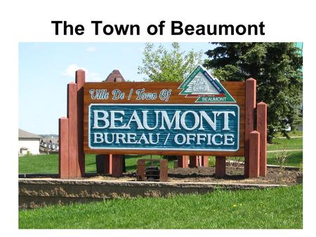 The Town of Beaumont. French and English Signs Cobblestone Crosswalks.