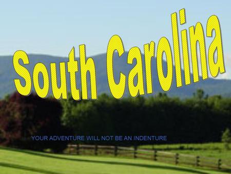 YOUR ADVENTURE WILL NOT BE AN INDENTURE. Colony of South Carolina.