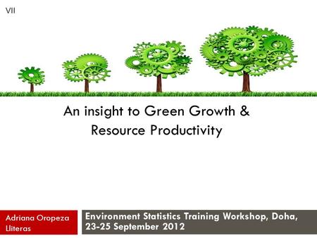 An insight to Green Growth & Resource Productivity Environment Statistics Training Workshop, Doha, 23-25 September 2012 Adriana Oropeza Lliteras VII.