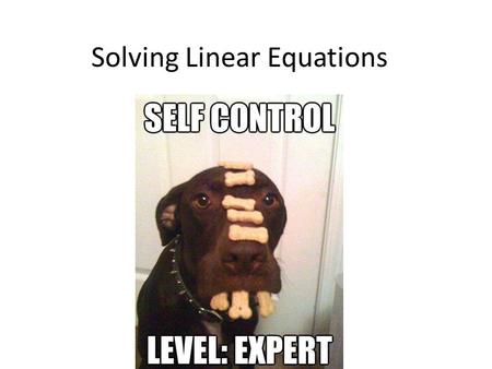 Solving Linear Equations. 4 + 1 = 13 What number would make this equation true? That is, what value of would make the left side equal to the right side?