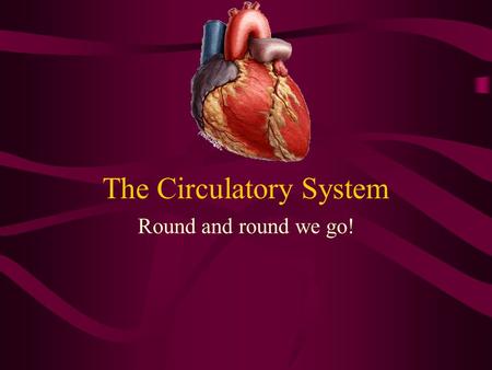 The Circulatory System Round and round we go!. Your Blood – Fluid Transport COMPONENTSCHARACTERISTICS Red Blood Cells-Transports O2 and some CO2 -Lack.