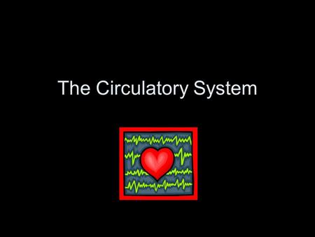 The Circulatory System