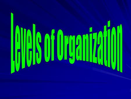 Levels of Organization