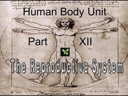 Human Body Unit Part XII. Human Body Unit Part XII “It’s time to bare all.”