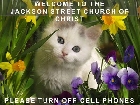 WELCOME TO THE JACKSON STREET CHURCH OF CHRIST PLEASE TURN OFF CELL PHONES.